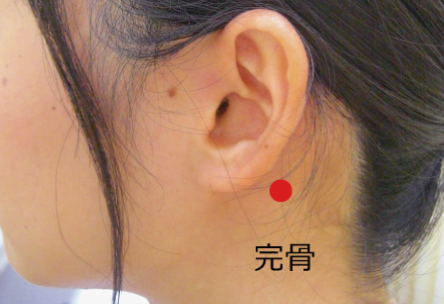 治療のツボ