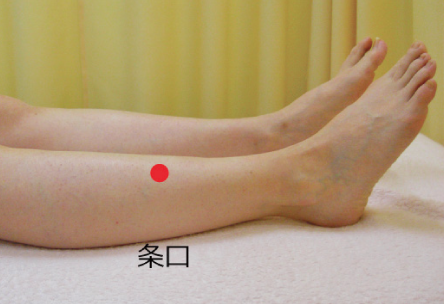 治療のツボ
