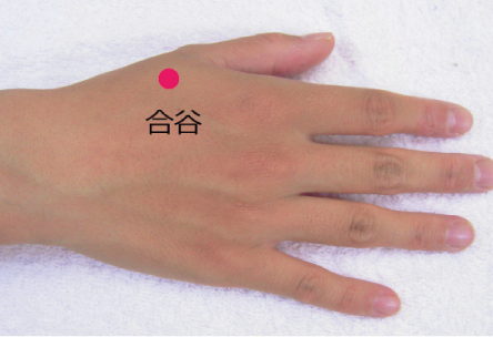 治療のツボ