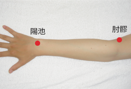 治療のツボ